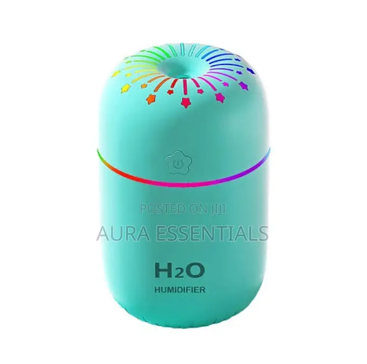 Portable Air Humidifier 300ml