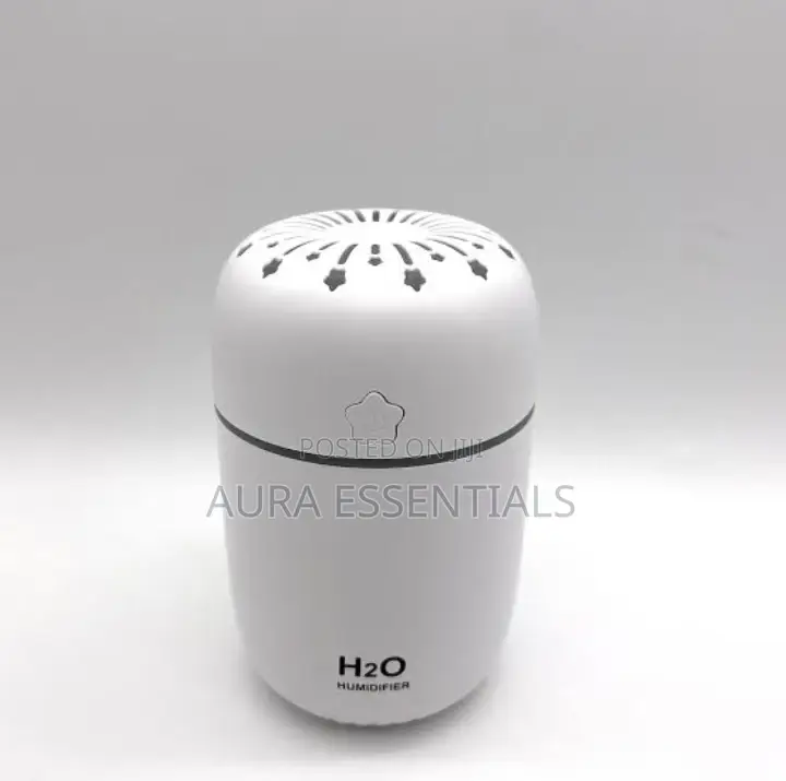 Portable Air Humidifier 300ml