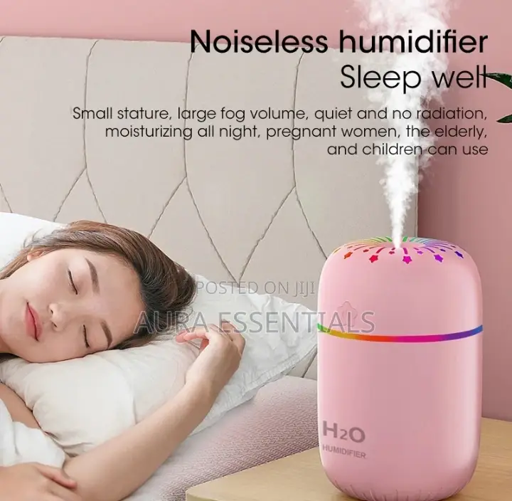 Portable Air Humidifier 300ml