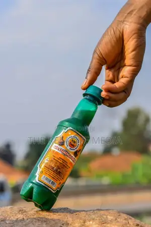 KDB Champion Tonto