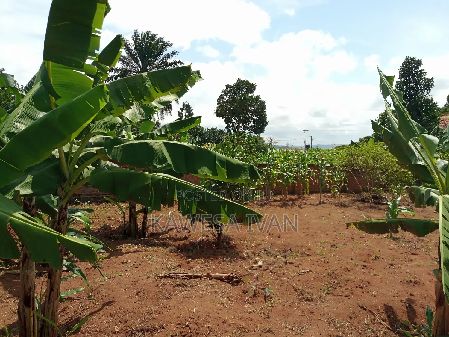 93 Decimals in Fence With Lake View Entebbe