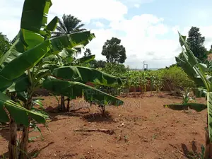 93 Decimals in Fence With Lake View Entebbe
