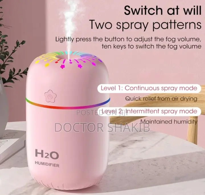 Portable Noiseless Air Humidifier 300ml