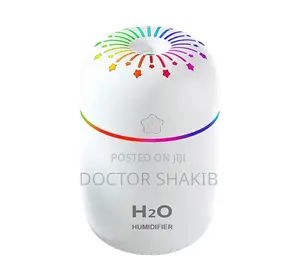 Portable Noiseless Air Humidifier 300ml