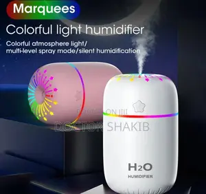 Portable Noiseless Air Humidifier 300ml
