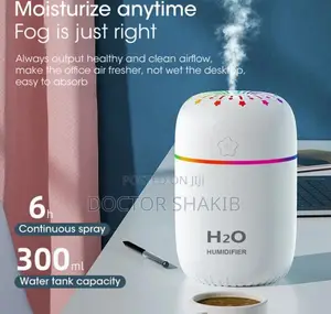 Portable Noiseless Air Humidifier 300ml