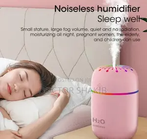 Portable Noiseless Air Humidifier 300ml