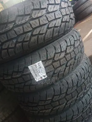 225/60r17 Zmax Brand a/T .