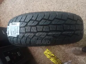 225/60r17 Zmax Brand a/T .