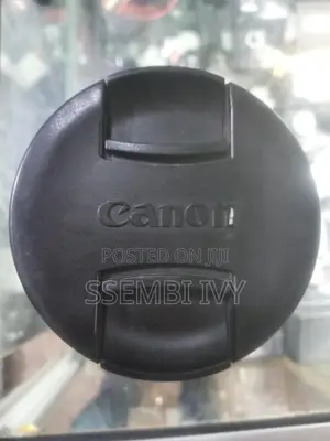 CANON 24-105mm Lens (Prof. Silver Lens)
