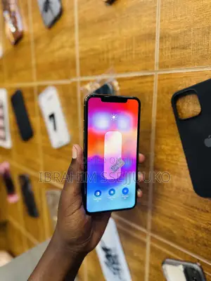Apple iPhone 11 Pro Max 64 GB Gold