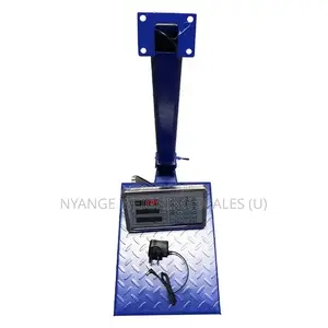 Photo - Hot Sale Electronic Platform Weighing Scale [3]