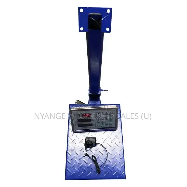 Hot Sale Electronic Platform Weighing Scale [3]