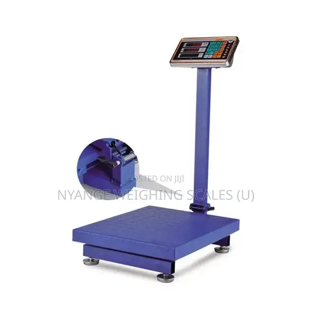Hot Sale Electronic Platform Weighing Scale [4]