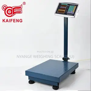 Hot Sale Electronic Platform Weighing Scale [6]