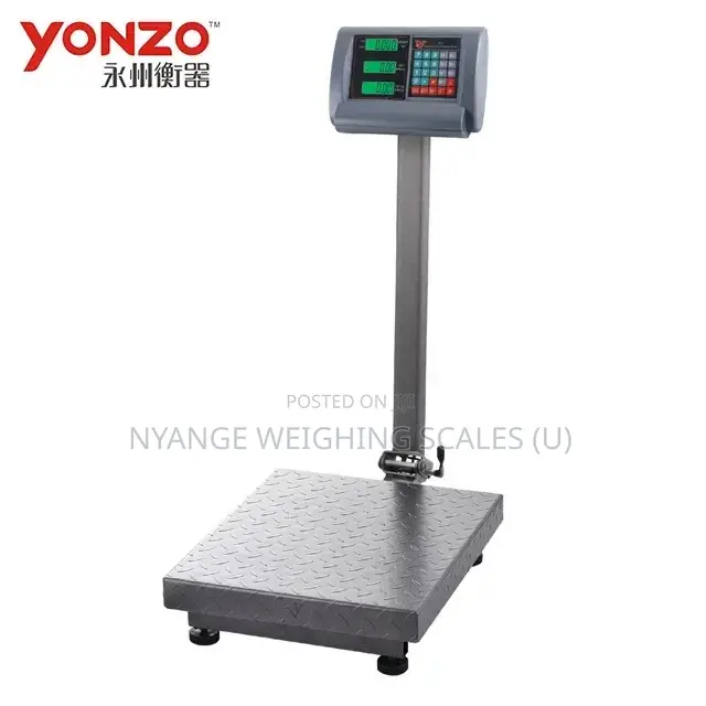 Portable Platform Digital Electric Weighing Scales [70]