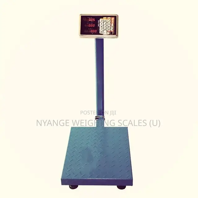 Hot Sale Electronic Platform Weighing Scale [72]