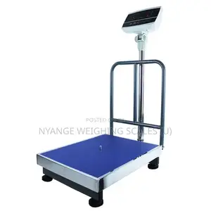 Heavy Duty Weighing Scales 400kg Platform Weighing Scale[73]