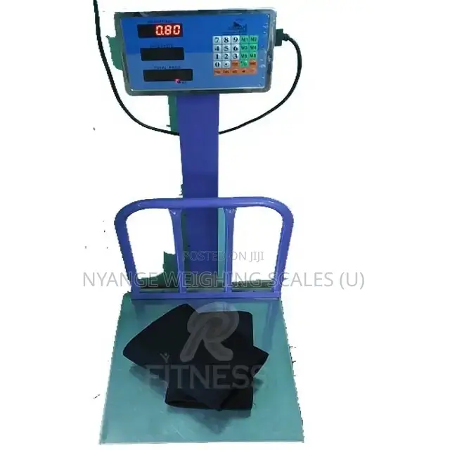 Digital Weigh Scaie Industrial Weighing Scales for Sale [73]