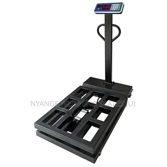 Hot Sale Weigh Scale Electronic Platform Weighing Scale [75]