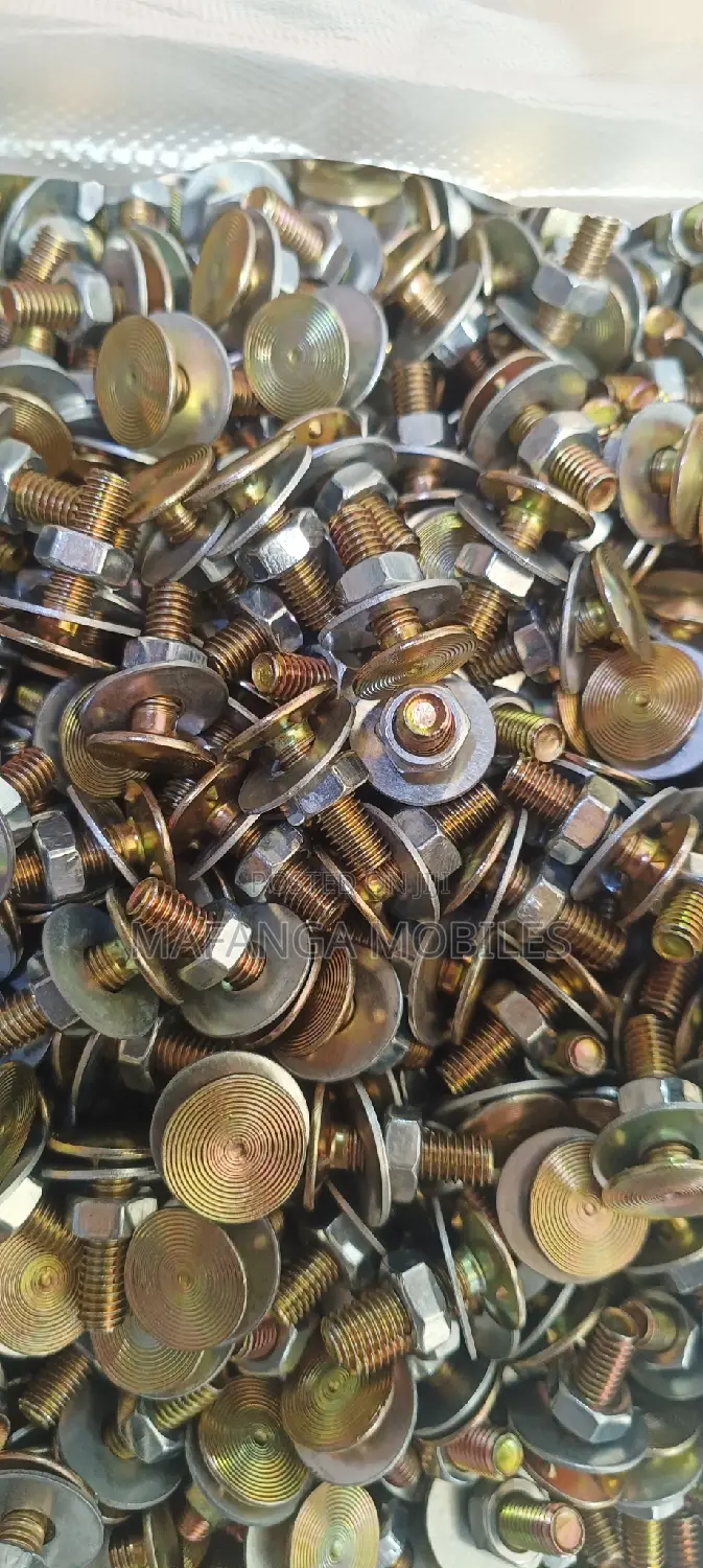 Elevator Cups Bolts