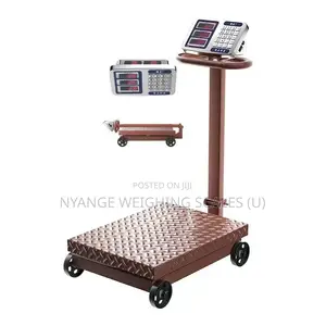 Precision Weighing Scale 500kg Weight Weighing Scale