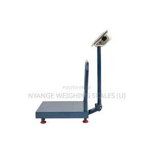 300kg Digital Platform Weighing Scale [76]