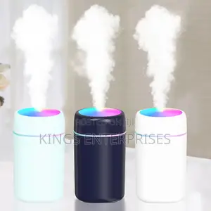 Portable Humidifier