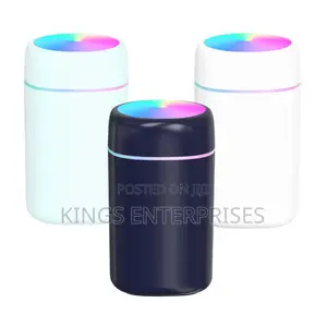 Portable Humidifier