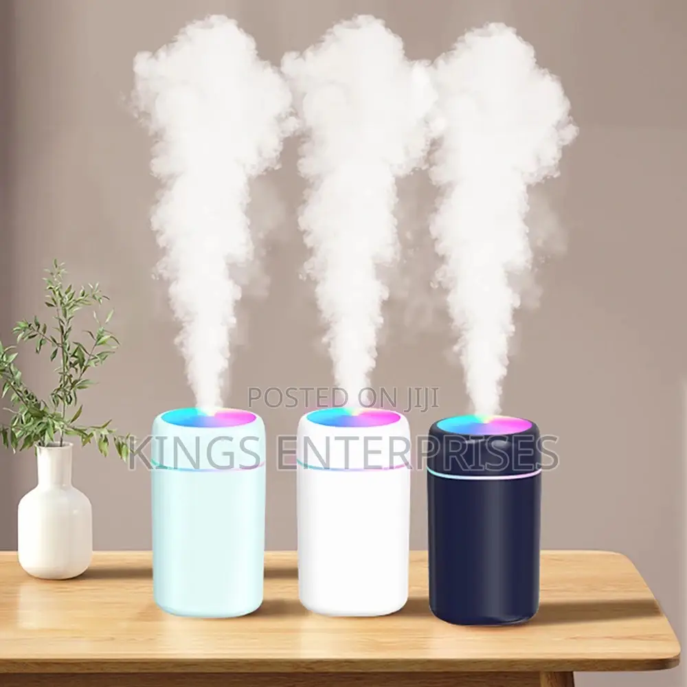 Portable Humidifier