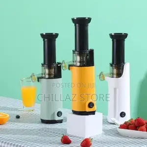 Electric Slow Juicer Fruit Blending Machine