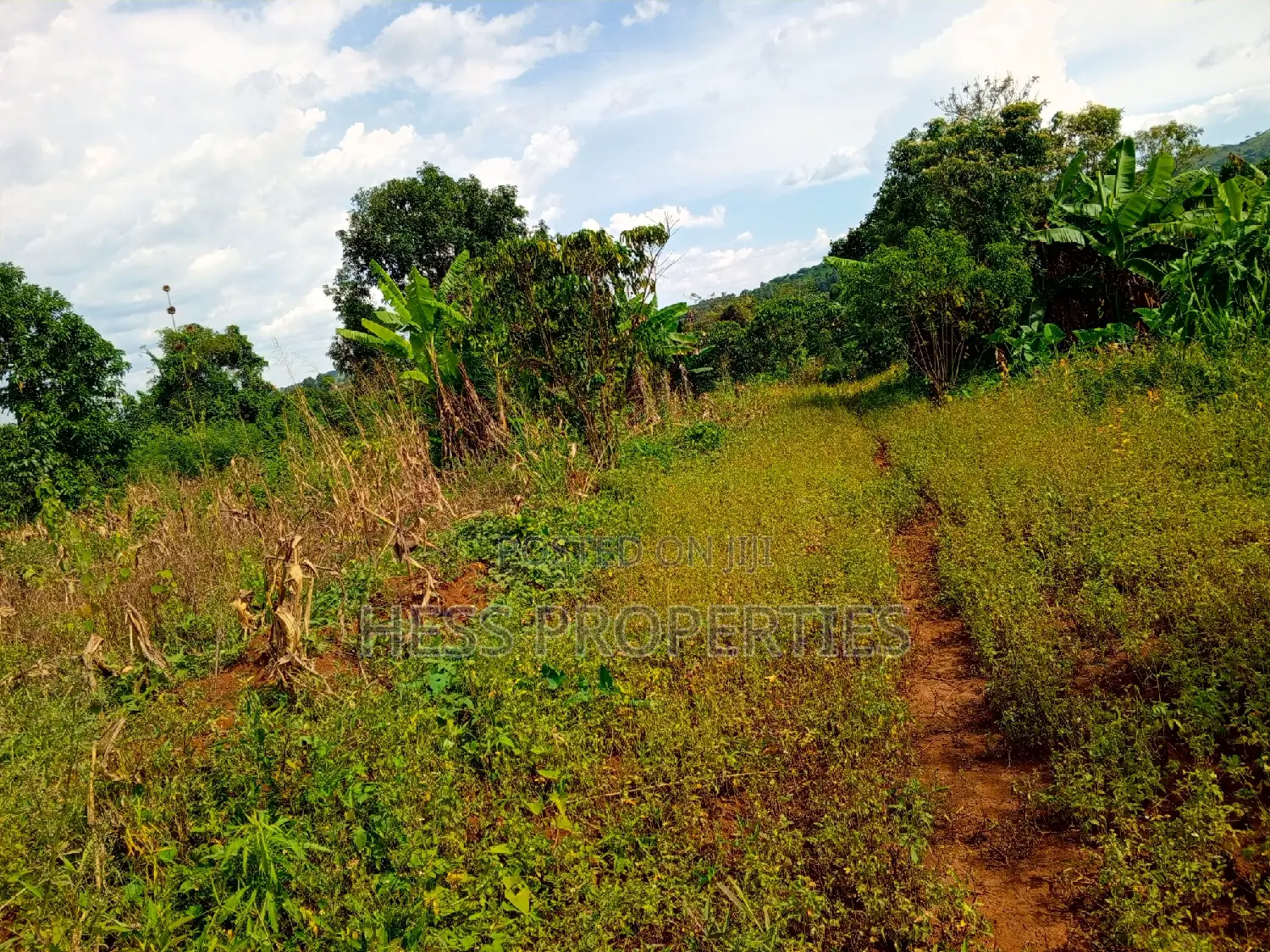 5acres of Titled Land on Sale Located in Kaihura Town