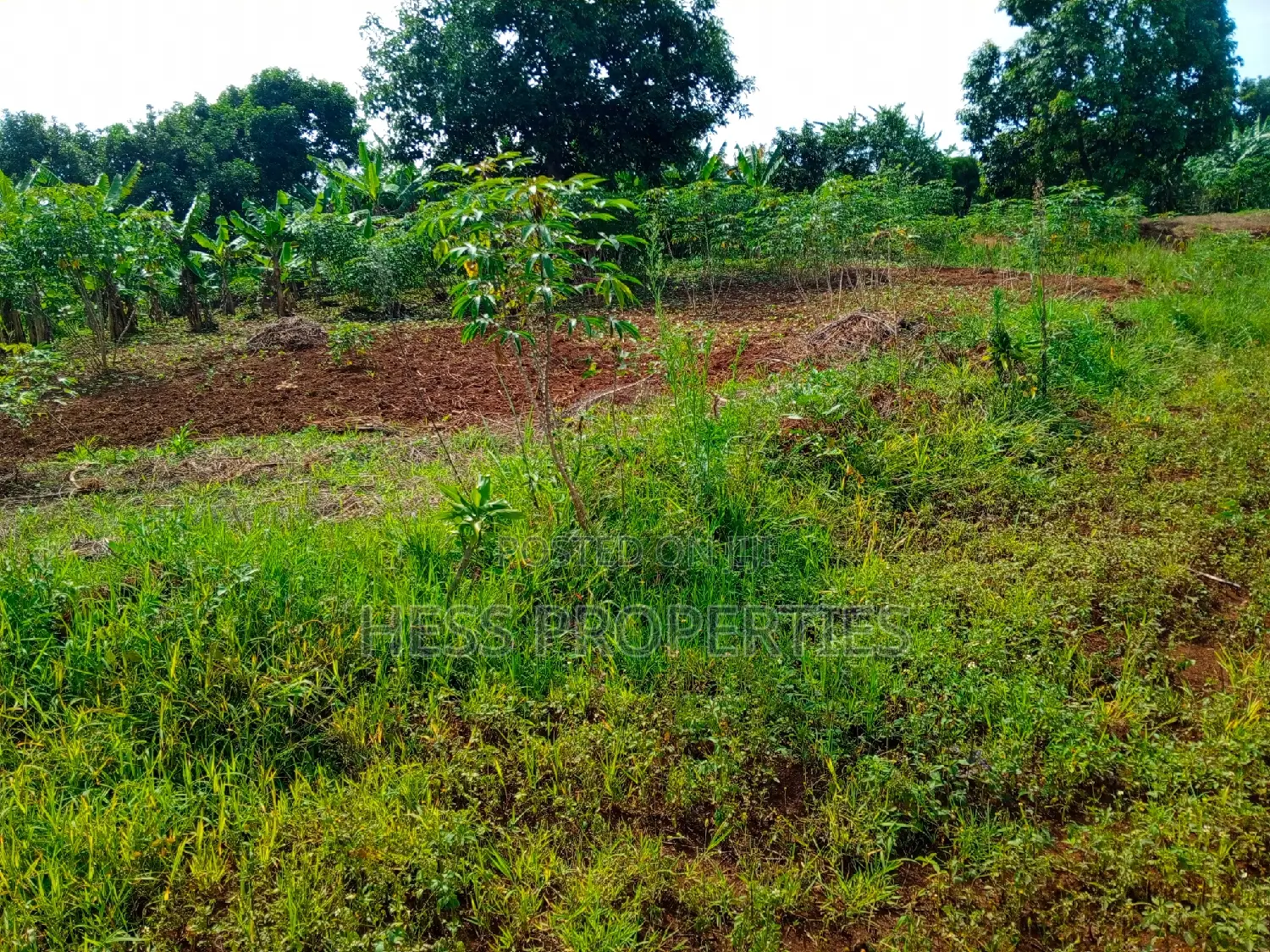 5acres of Titled Land on Sale Located in Kaihura Town