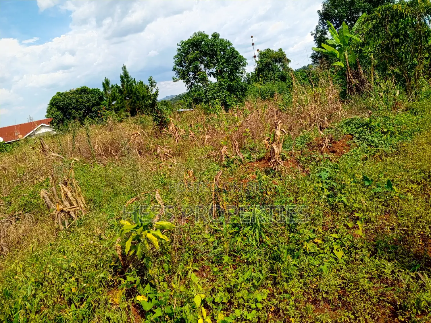 5acres of Titled Land on Sale Located in Kaihura Town
