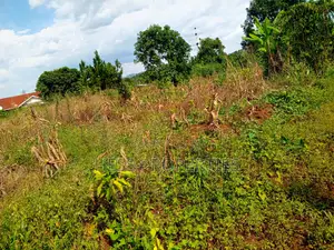 5acres of Titled Land on Sale Located in Kaihura Town