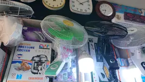 DP Wall Fan