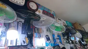 DP Wall Fan