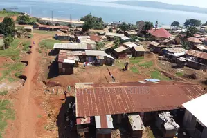 50ft X 100ft Lake View Prime Titled Plots for Sale in Jinja