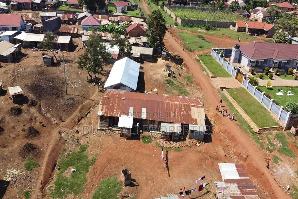 50ft X 100ft Lake View Prime Titled Plots for Sale in Jinja