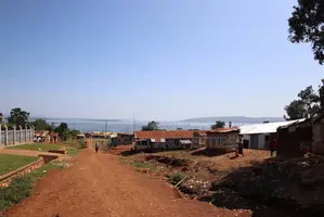 50ft X 100ft Lake View Prime Titled Plots for Sale in Jinja