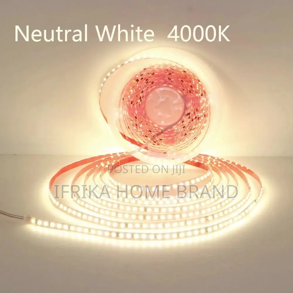 Mini 12v Led Strip Light Leds 10M IP65 Waterproof Warm White