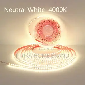 Mini 12v Led Strip Light Leds 10M IP65 Waterproof Warm White