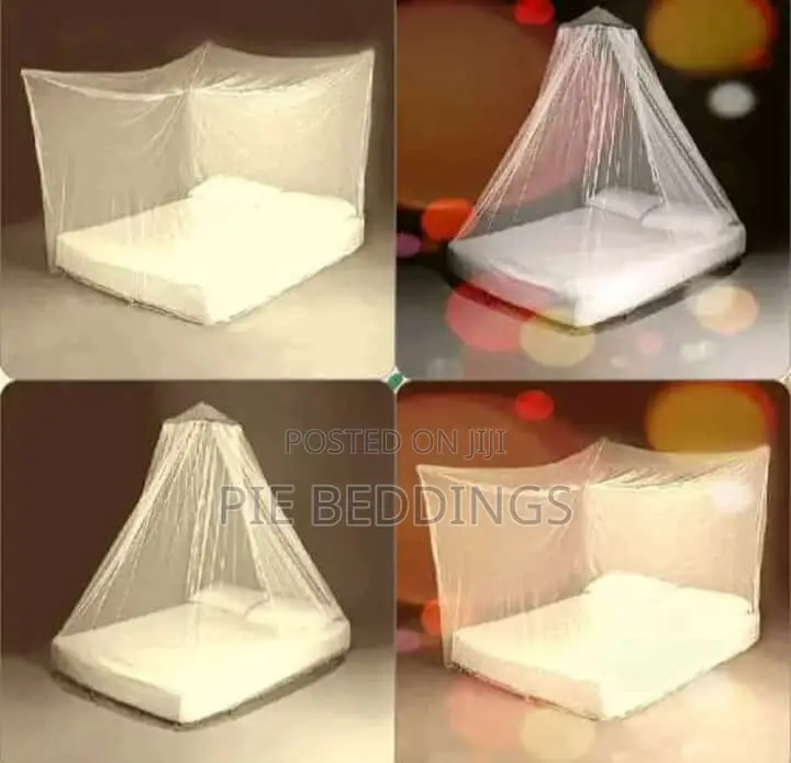 New Go Back to School Mosquito Nets