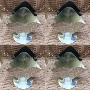 Double Adjustable Tissue Holder