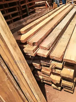 Pine Timber of All Sizes