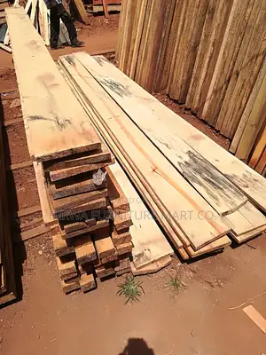Pine Timber of All Sizes