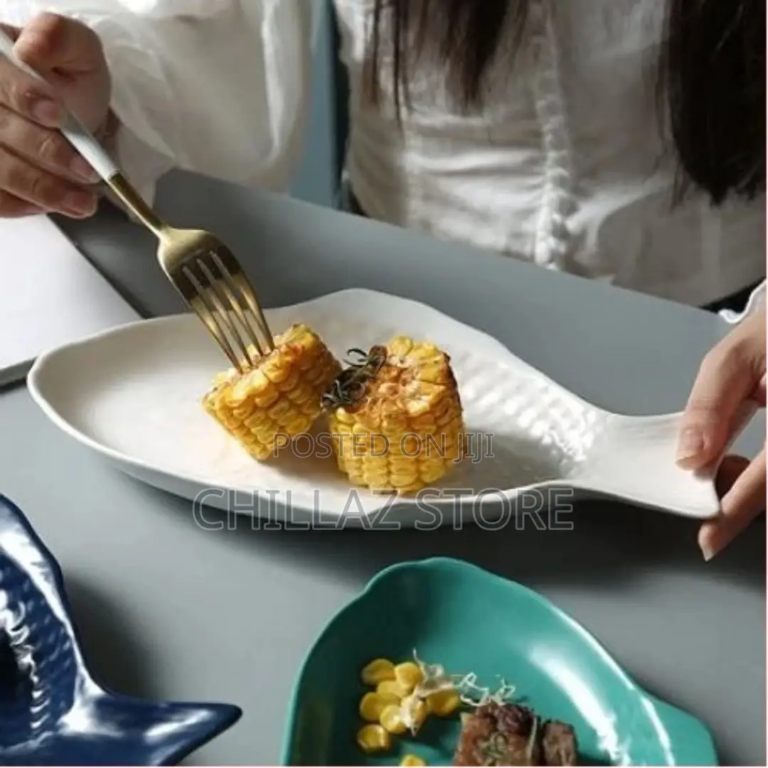 11 Inch Steak, Fish Plate Tray Dinner Platter, Bowl