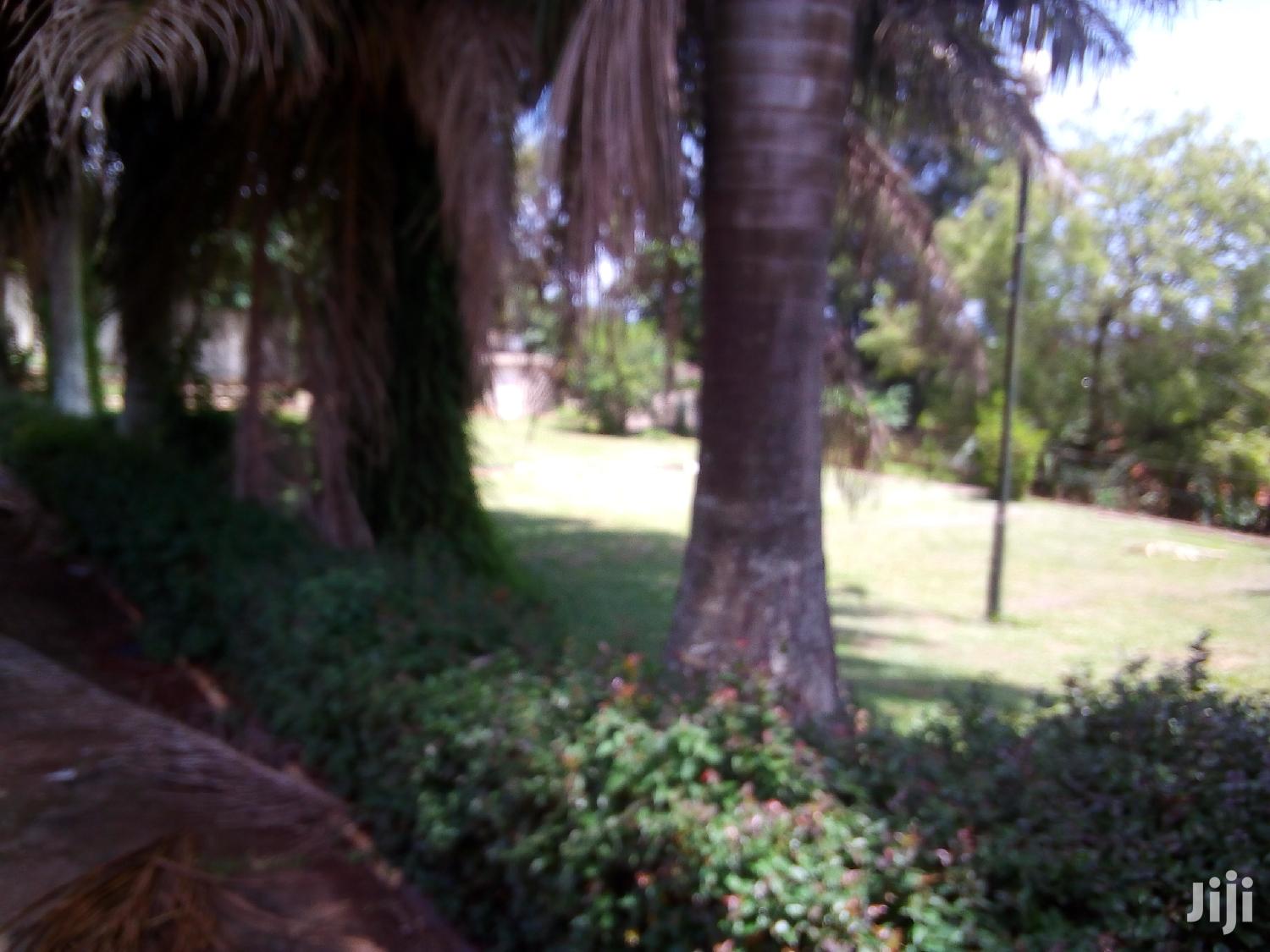 House In Ntinda For Rent