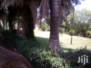 House In Ntinda For Rent
