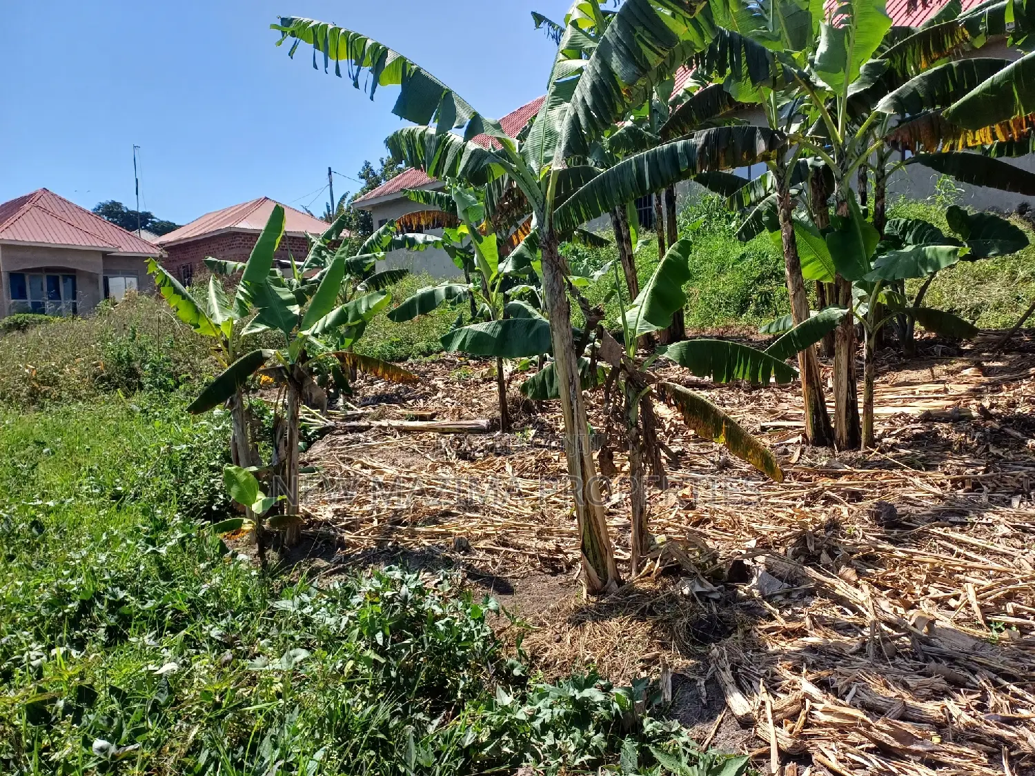 Affordable Plot on Quick Sale in Nsangi Near Police Post